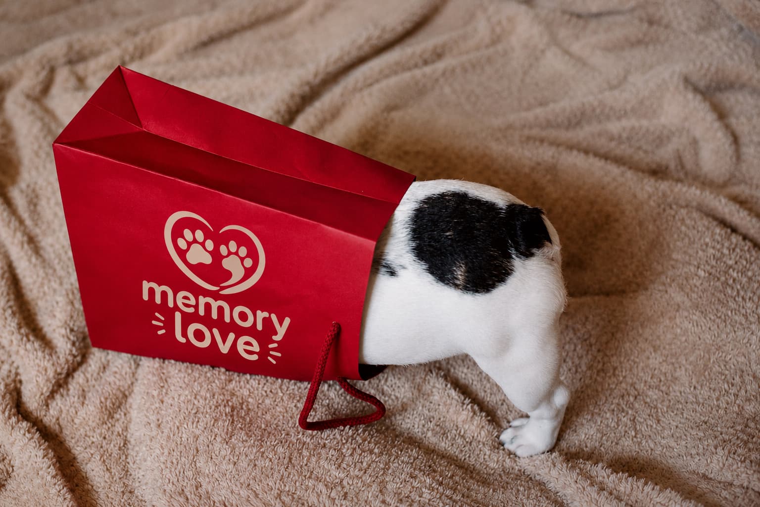 Memory Love — il regalo dei ricordi